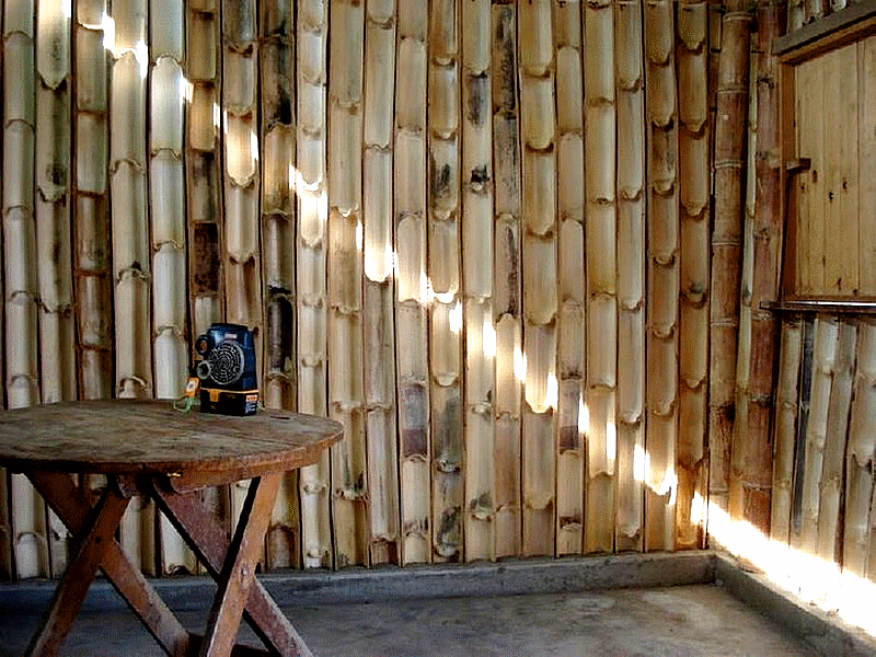 africa_afrique_forêt_forest_deforestation_sustainable__wood_bois_culture_agriculture_asia_asie_china_chine_india_inde_vietnam_laos_bali_development_architecture_house_moso_bambou_bamboo_bambu_bambusa_développement_durable_cop_21